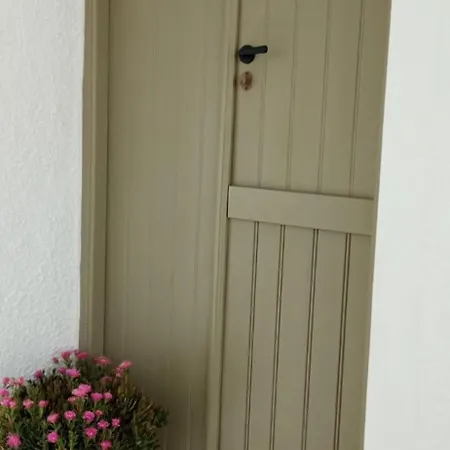 Lägenhet Chora Cozy - *